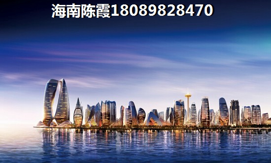 海南海口未来房子生纸有多大？