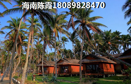 滨江花城跟星华·海德豪庭养老气候对比！退休外地人能在海口买房养老吗？