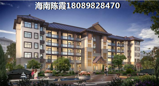 蓝城一号VS海南合景云上海口市2025年房产市场的前景探析