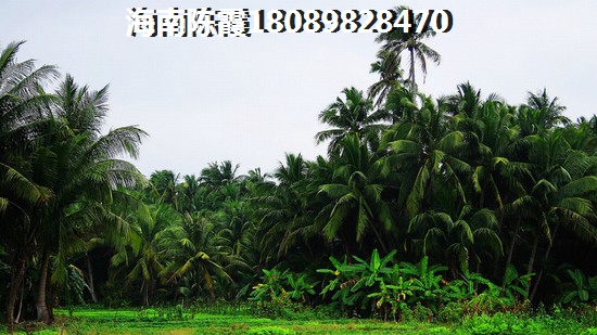 海南海口房价上涨，蓝岛别院二手房值得投资！