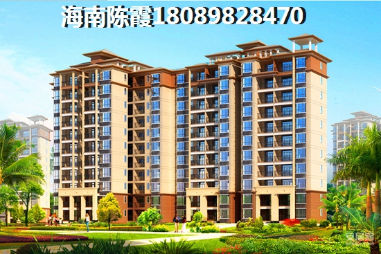 《夏日海口的房产之谜申鑫国际广场与钻石海岸，谁是性价比之王？》