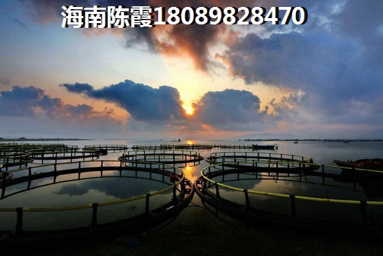 海南金鹿雅苑房价探秘